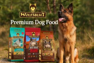 🐺 Wolfsblut – chuť divočiny v každé misce! 🐺 V přírodě není místo pro kompromisy, a ani my je neděláme. Prémiové krmivo...