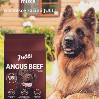 ✨ Krásná srst začíná v misce. A v misce začíná JULLI. Lesk, síla a zdraví srsti není náhoda — je to kvalitní výživa plná...