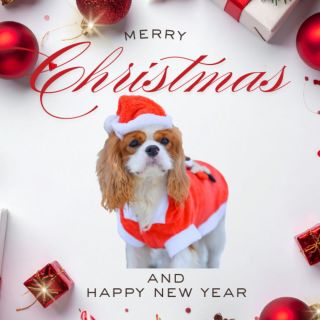 🎄✨ Krásné Vánoce a šťastný nový rok! ✨🎄 Přejeme Vám klidné a pohodové vánoční svátky plné radosti, pohody a krásných chvil...